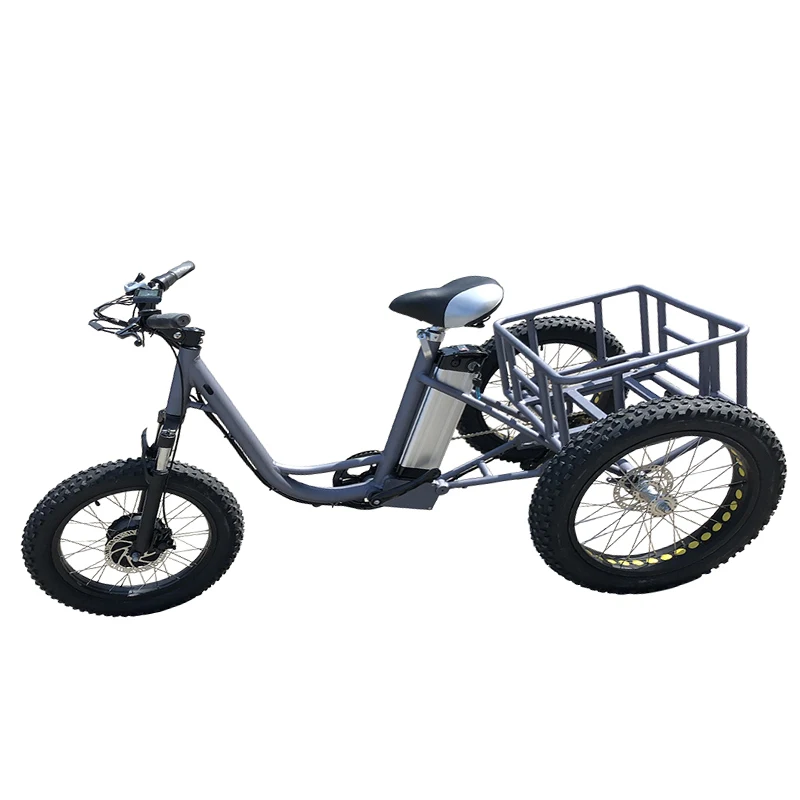 Excellent 250W 350W 500W Electric Tricycle With 36V10A Lithium Battery Brushless Gear Hub Motor 3 wheel Electric Snow Bicycle New Arrival 2