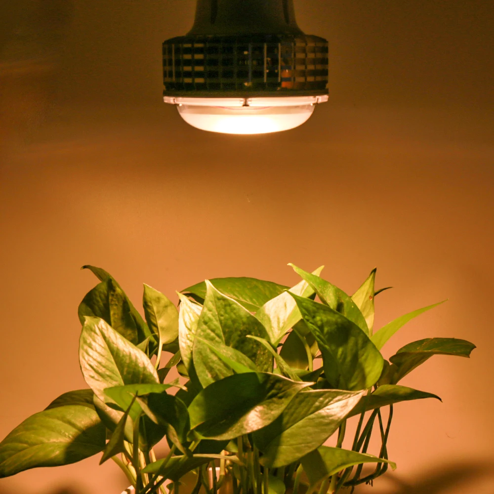 100 W 150 W Led светать полный спектр Fitolampy лампы комнатные для выращивания лампы для растений цветок парниковый эффект; Выращивание растений без