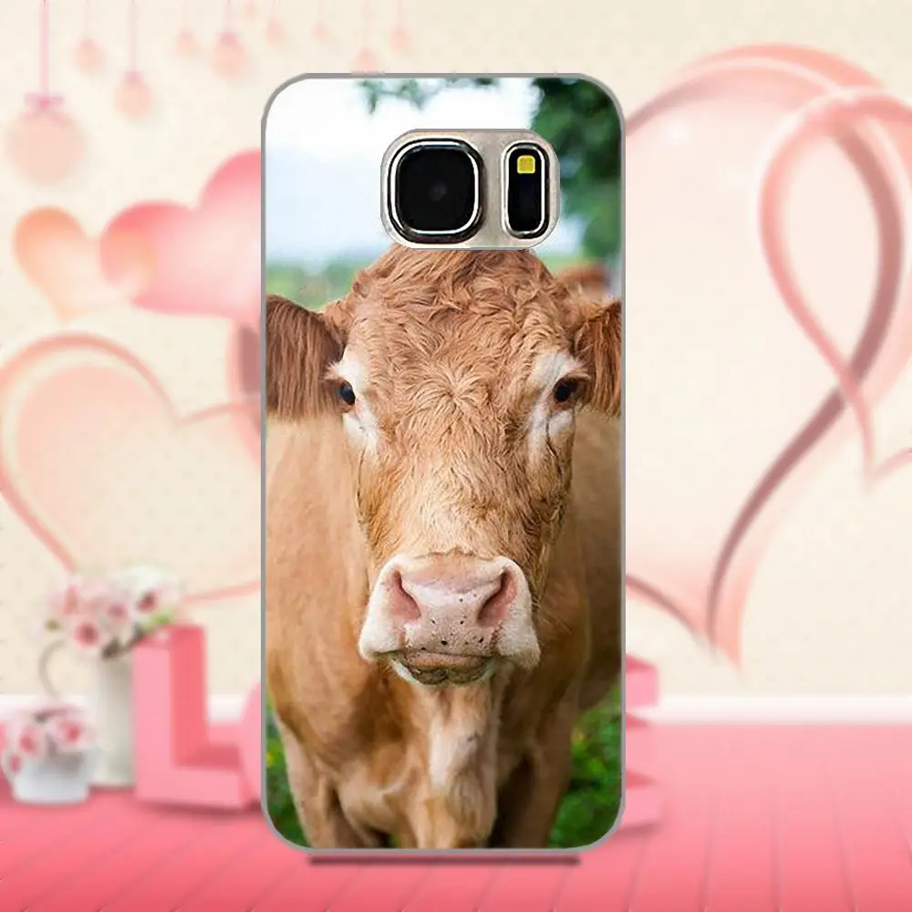 Oedmeb для Apple iPhone 4 4S 5 5C 5S SE 6 6S 7 8 Plus X For LG G3 G4 G5 G6 K4 K7 K8 K10 V10 V20 красочная корова|Бамперы| |