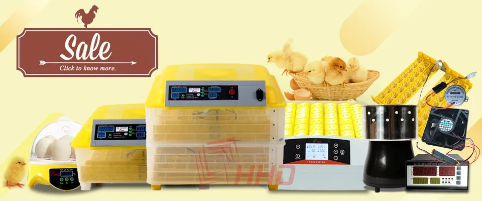 Wholesale 154 pcs Quail Parrot Pigeon Small Bird Snake Hatcher Automatic Turn Plastic Incubator Trays with Turning Motor