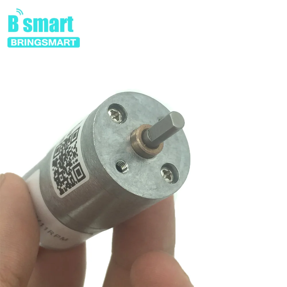 Bringsmart-for-Hair-Curler-JGA25-2418-Bldc-Gear-DC-Motor-12V-Motor-24V-Motor-Electrico-Reductor
