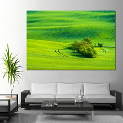Широкие зеленые поля пшеницы Настенная картина с ландшафтом холст картины настенные изображения принты и плакаты на холсте Гостиная Home Decor