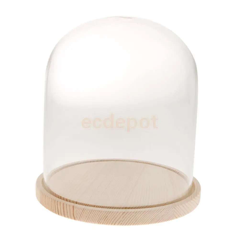 MagiDeal Borosilicate Heat-resistant Glass Display Glass Cover Flower Cloche Jar Dome with Wood Base Centerpieces Decoration 