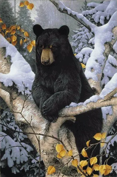 7071529cc9971d00bb83692d55f027d7--jigsaw-puzzles-wild-things
