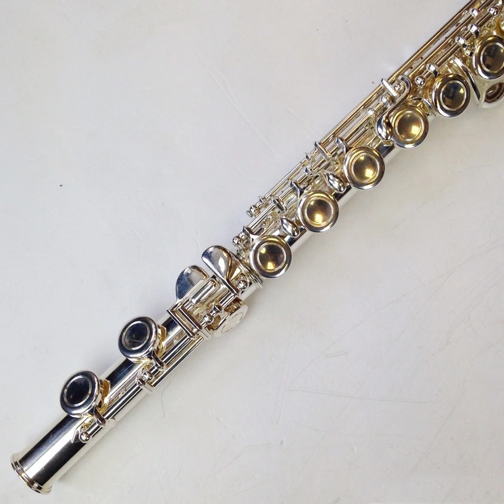 Brand New Flute Bc6020 Silver Plated 16 Holes Closed Hole Professional