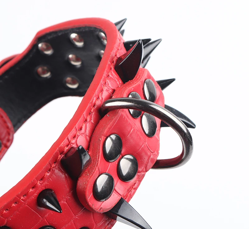 92002 dog collar (8)