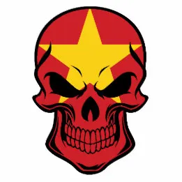 vietnamese_flag_skull_bib-r50b13ac8c7374d81910ec5f31ba00cde_zfe0o_260