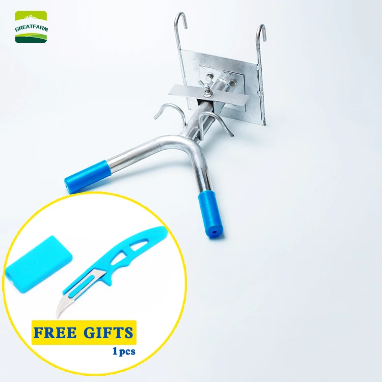 Piglets castrated frame Stainless steel Pig castration device piglet