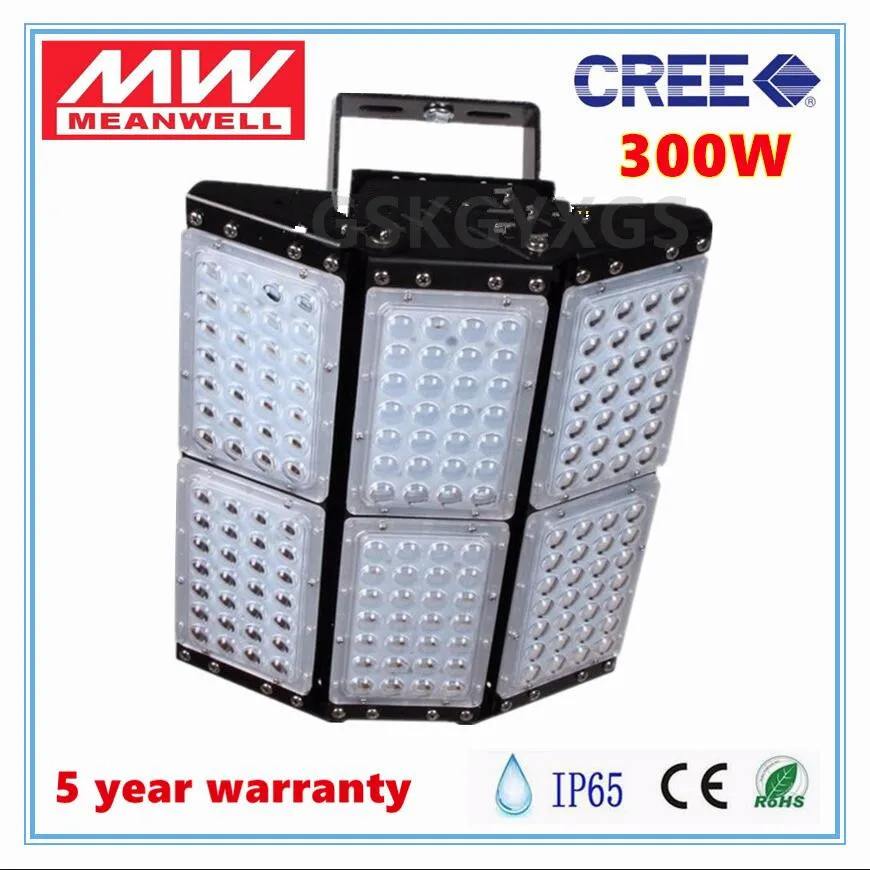 LED Light 300W