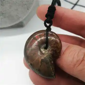 

Wholesale 1PC Natural conch pendant snail leaf fossil ammonite hanging piece lucky crystal stone screw transporter