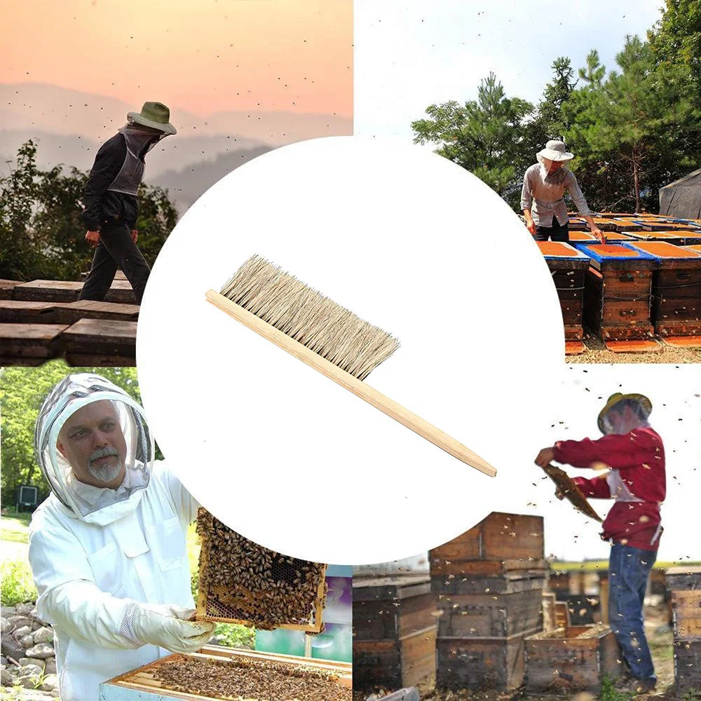 Инструменты для пчеловодства желтая древесина пчелы щетка-сметка Pig'S щетина щетки для пчеловодства Пчеловодство оборудование для пчеловода