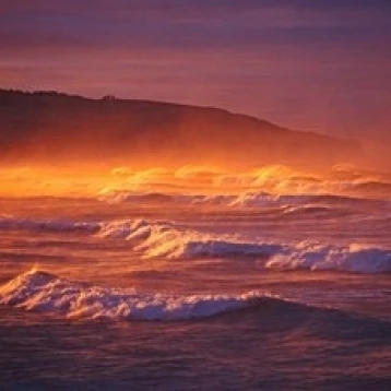 St Clair Beach  Dunedin  New Zealand Poster Print by David Wall (37 x 24)