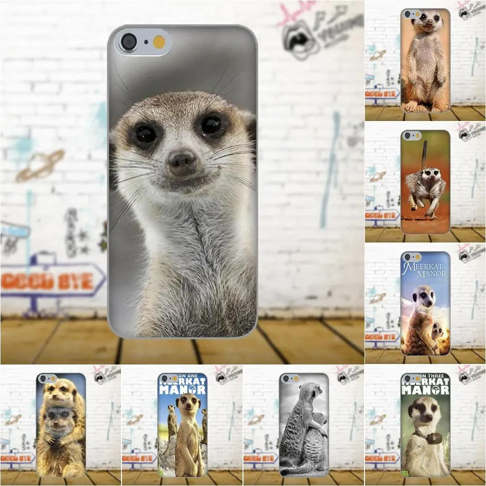 

Meerkat Manor For Galaxy A3 A5 A7 J1 J3 J5 J7 2016 2017 S5 S6 S7 S8 S9 edge Plus Painted Cover Style Design Cell Phone Case