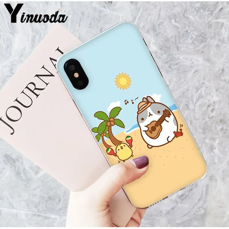 Funny and cute cartoon rabbit
