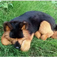 WYZHY моделирование собака украшения дома Творческий desktop Мех животных 40X14 см