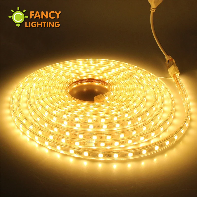 5Mled Strip Licht 220V Waterdichte Diode Tape SMD5050 60Chip/M Rgb Warm