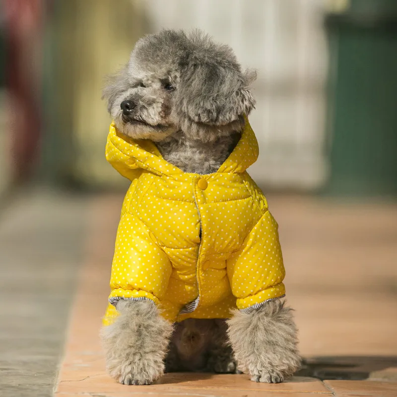 Милая одежда для маленьких собак, теплый зимний пуховик с французским бульдогом, пальто для чихуахуа, одежда для щенков йоркширского терьера