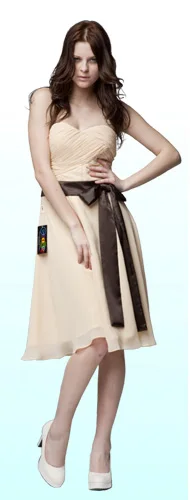 br07005-gold-chocolate-s