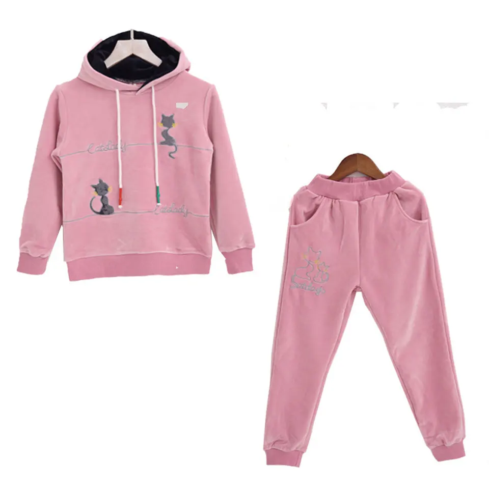 

Toddler Tracksuit Autumn Baby Clothing Sets Children Boys Girls Fashion Brand Clothes Kids Hooded T-shirt And Pants 2 Pcs Suits