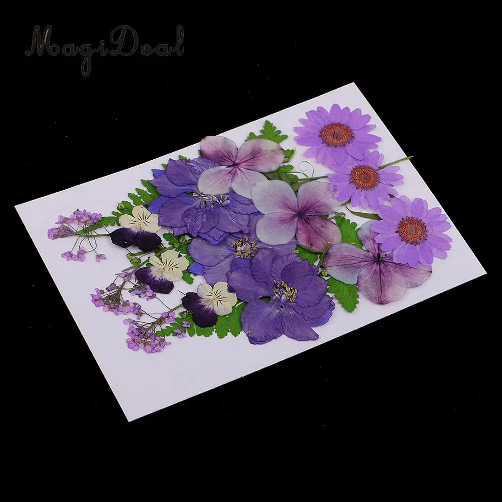 6 Kinds of Pressed Dried Flower Real Dried Flower Plant Specimen Filler for Scrapbooking Card, Art Crafts, Epoxy Resin Jewelry