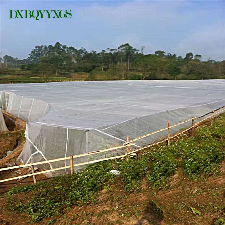 

Polyethylene Strong quality Pest Control Garden Anti Bird Net Fruit Tree Vegetables Flower Plant Pond Mesh Hole Gardening