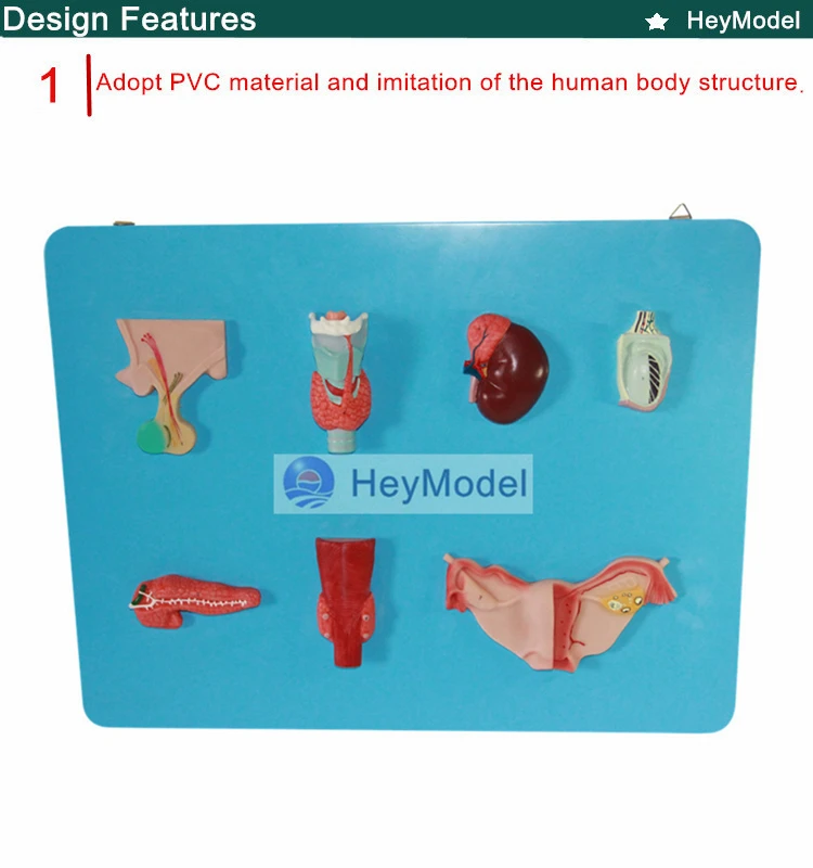 1.PVC_