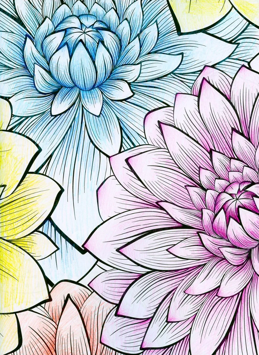 Natural Wonders Coloring Book For Adults Children Relieve Stress Picture Painting Drawing Colouring Art Creative Books In From Office School