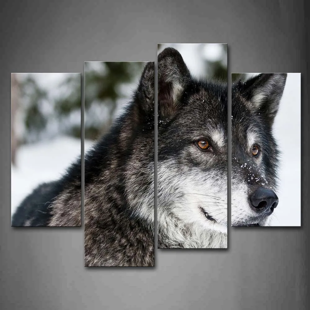 

Framed Wall Art Pictures Wolf Snowfield Canvas Print Animal Modern Posters With Wooden Frames For Home Living Room Decor