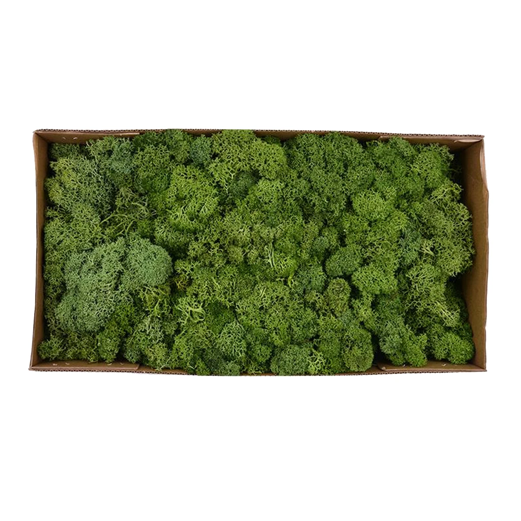 Colorful Artificial Moss Plant DIY Dried Reindeer Moss Floral Crafts Flowers for Plant Pot Garden Home Wedding Decor