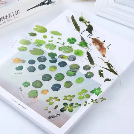 O1CN011xvnGW34ACNwB61_!!3378116506.jpg_.webp_430x430q90