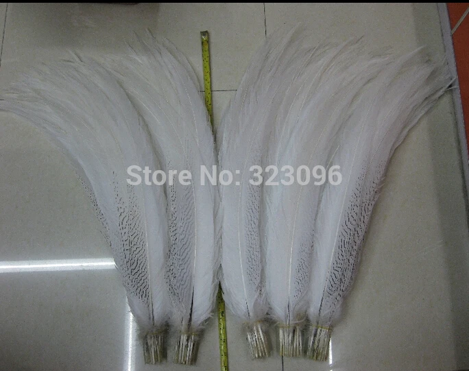 

Hotsale 50pcs White Pheasant Silver Feather Tail 45-50cm Pheasant tails lady amhurst pheasant tail Feathers for carnival deco