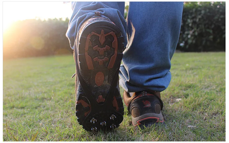 3727286336_2018702420