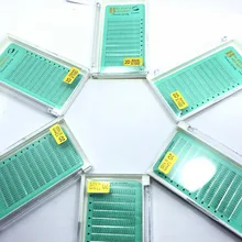 5 лотков 2D Пышные ресницы-веера индивидуальный макияж инструменты для наращивания ресниц Premade Flase ресницы 2D объем для ресниц