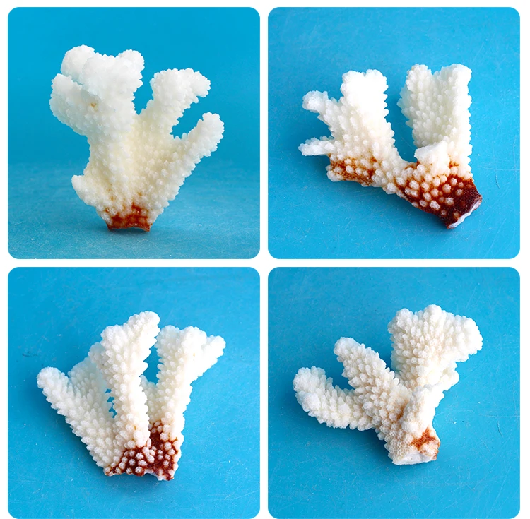 Белый коралл ветка раковины аквариума украшения аквариума пейзаж украшение для платформы средиземноморские ремесла