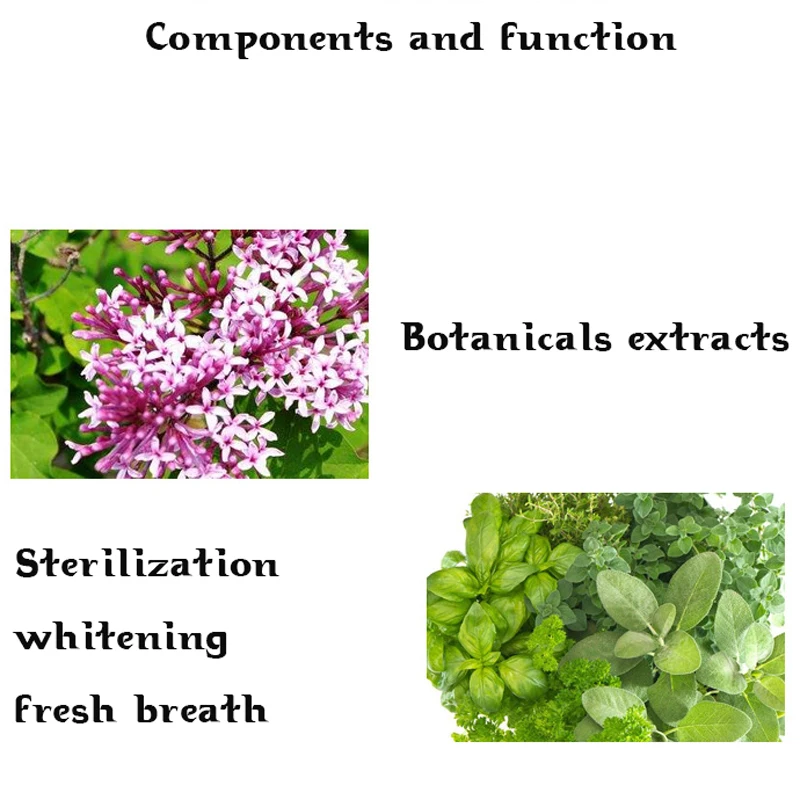 Jual 25G Ramuan Herbal Alami Cengkeh Pasta Gigi Pemutih Gigi Dentifrice Menghilangkan Noda Antibakteri Alergi Pasta Gigi 1062