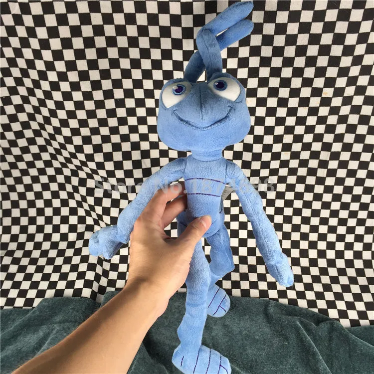 34