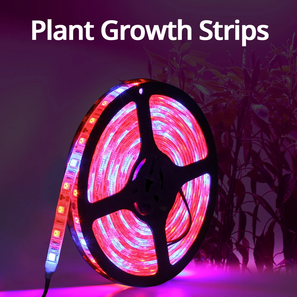 5 м 60 Светодиодный s/M светодиодный Grow Lights DC12V сельскохозяйственная Светодиодная лента не waterproofplant светать комплект с 3A ЕС/адаптер для