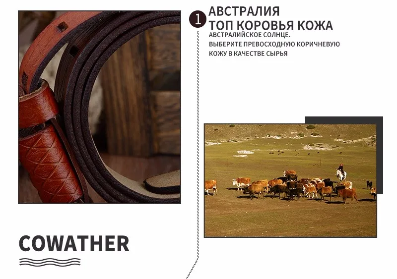 COWATHER Качество Корова Подлинная Роскошная кожа мужские ремни для мужчин ремень мужской пряжкой большой размер 100-130 см 3,8 ширина QSK001