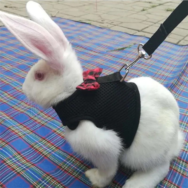 

Hot sale 4 Color Rabbit Leash Lead Vest Small Animals Mesh Cotton Collars Cat Hamster Red Harnesses S M L Harness Leash Pet