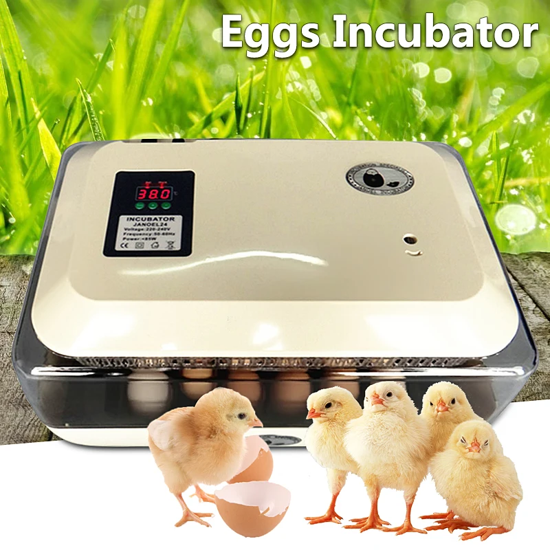 

AU Plug Auto-Turning Digital 24 Eggs Incubator Automatic Hatch Chicken Duck Egg 180V/240V 50-60HZ 85W Simple 43x29x22.5cm