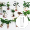 2022 tenture murale verre fleur planteur Vase plante Pot Terrarium maison jardin ► Photo 3/6