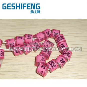 

Aluminium with plastic pigeon ring for sale,ring pigeon,poulty foot bands