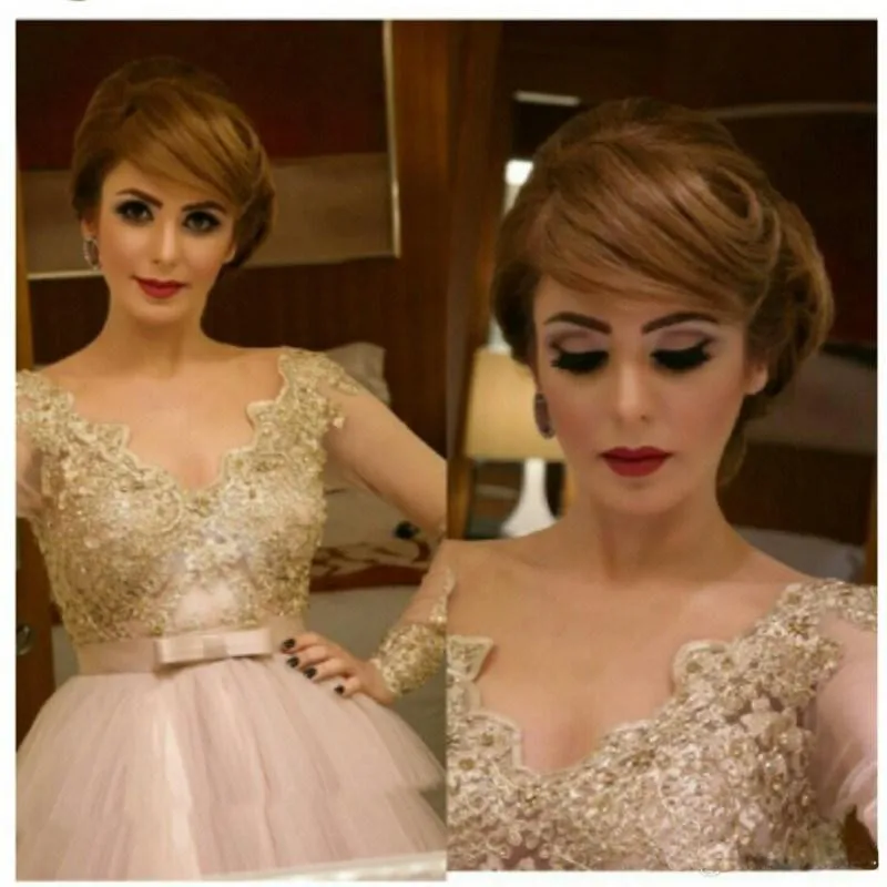 

2015 New Fashion Casual Women Dress Sexy V Neck Saudi Arabia Ankle Length Ball Gown Long Sleeves Evening Dresses