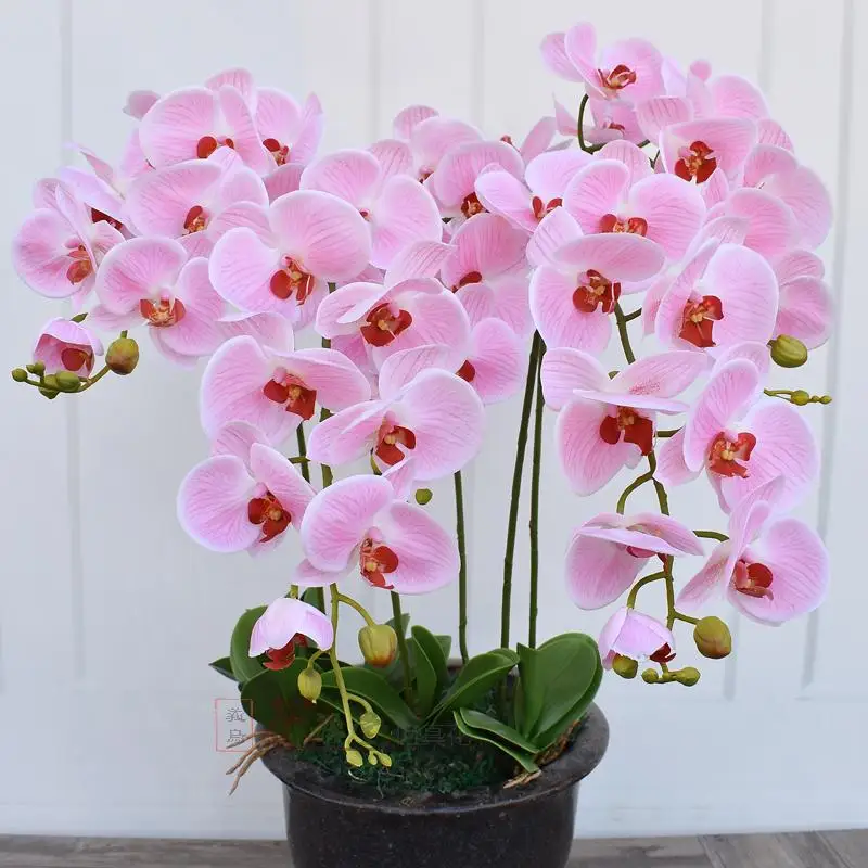 Nueva llegada 3D 90 cm flor artificial Phalaenopsis revestimiento de látex Flor de seda real touch orquídea multicolor boda Nueva llegada 3D 90 cm flor artificial Phalaenopsis revestimiento de látex Flor de seda real touch orquídea multicolor boda