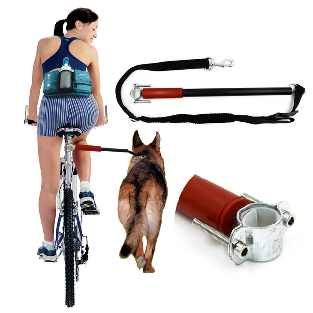 hands free bicycle dog leash