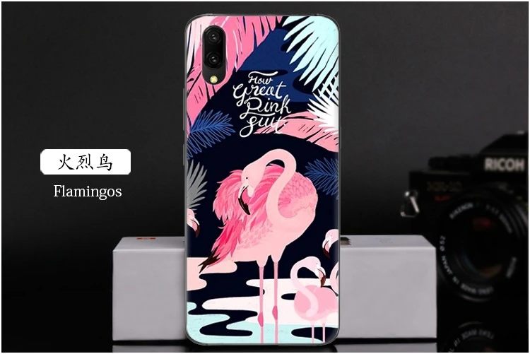  Flamingos