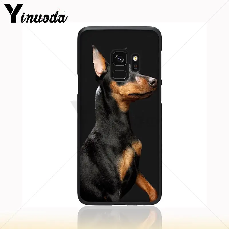 Dachshund Silhouette Dog