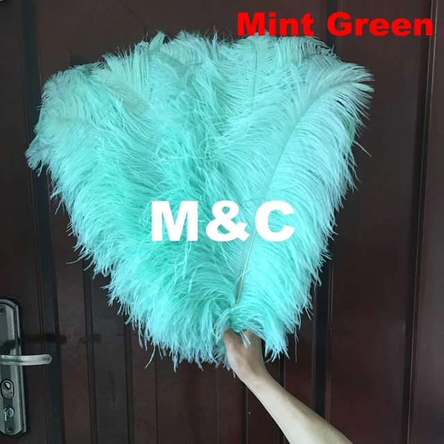 Beautiful 60pcs Lot Natural Mint Green Ostrich Feather 55 60cm 60pcs Lot Natural Mint Green Ostrich Feather 55 60cm Colorful Decoration Wedding Diy Feathers