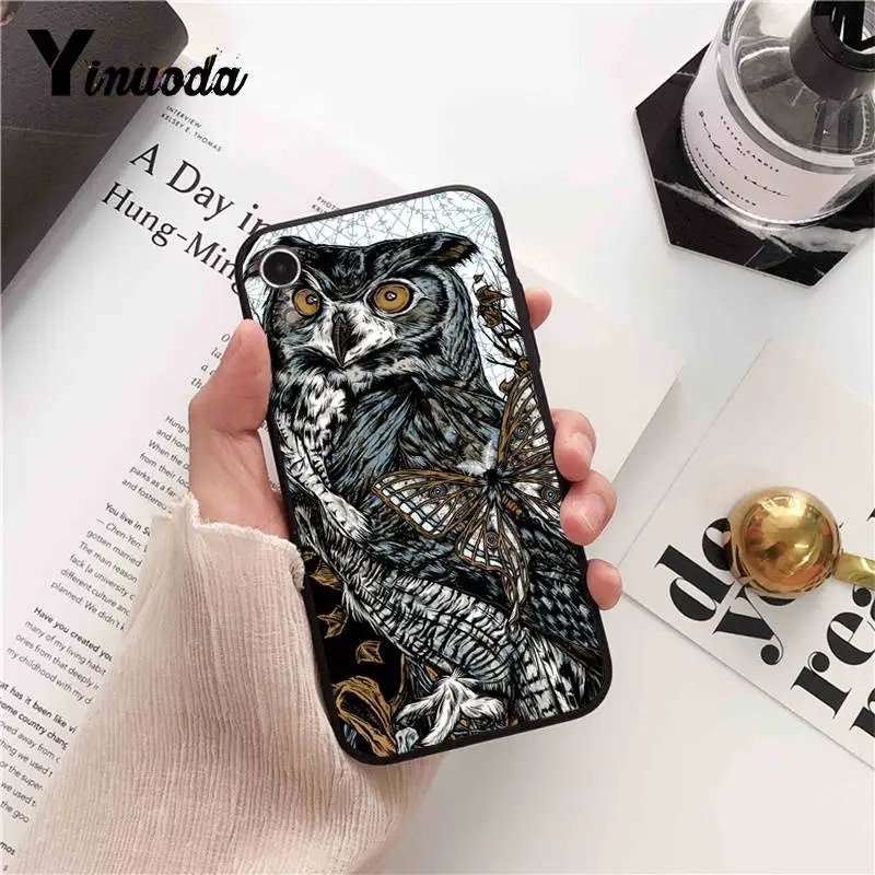 Cool  Owl  Cartoon Painted
