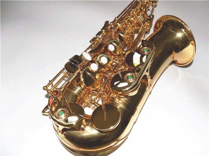 Eb Alto saxofon s ABS pouzdrem Brass Body Gold Lacquer instrumento hudební profesionál